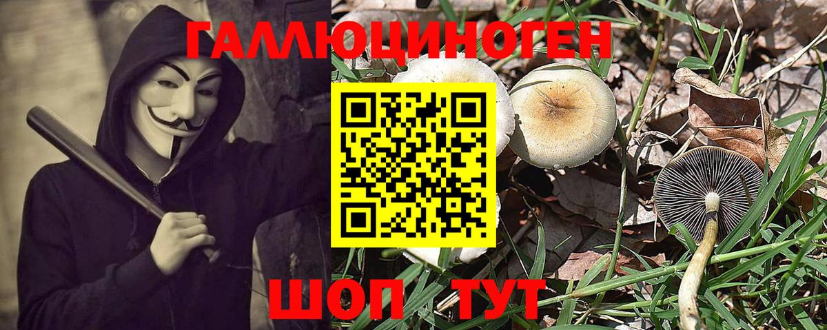 Галлюциногенные грибы Magic Shrooms Каспийск
